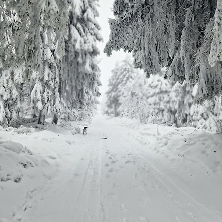 Chata Jeleni Drevenice S Vlastni Virivkou Horni Halze Ngoại thất bức ảnh